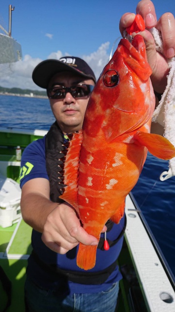 松栄丸 釣果