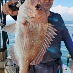 遊漁船　ニライカナイ 釣果