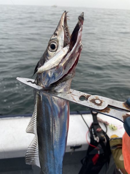 夢丸 釣果