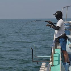 八海丸 釣果