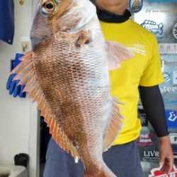 遊漁船　ニライカナイ 釣果