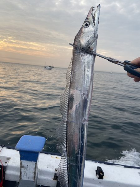 夢丸 釣果