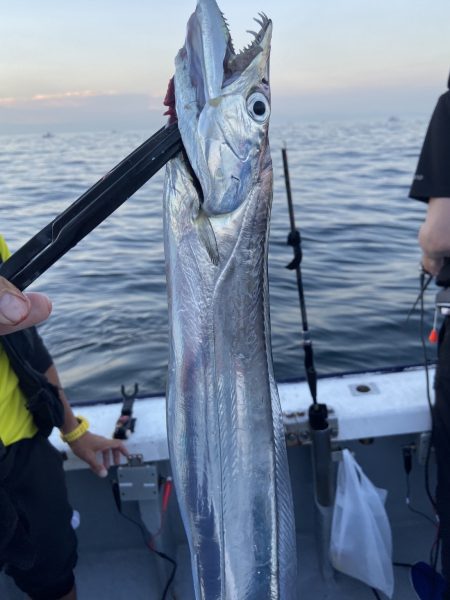 夢丸 釣果