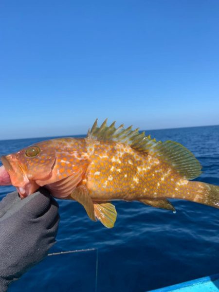 宝昌丸 釣果