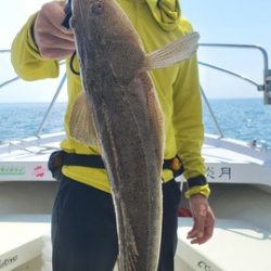 遊漁船　ニライカナイ 釣果