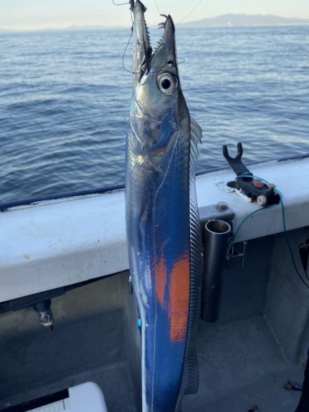 夢丸 釣果