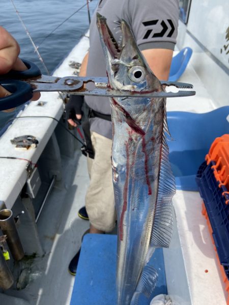 夢丸 釣果