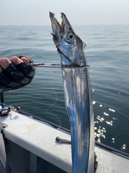 夢丸 釣果