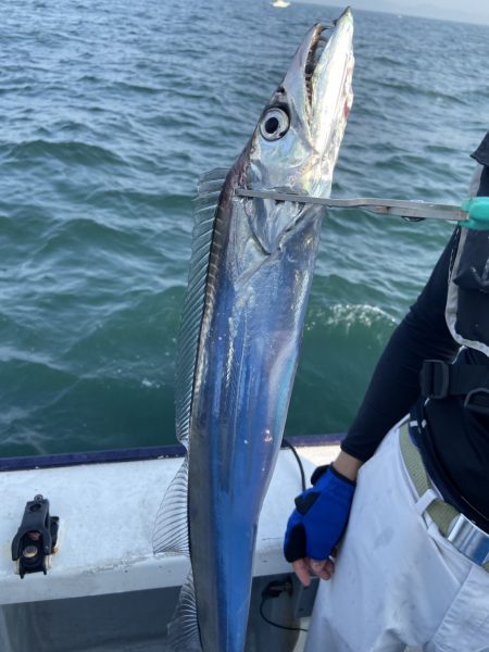 夢丸 釣果