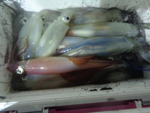 兼六丸 釣果