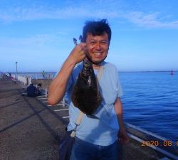 鹿島港魚釣園 釣果