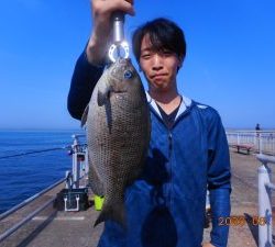 鹿島港魚釣園 釣果