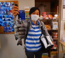 鹿島港魚釣園 釣果