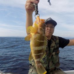 フィッシングボート空風（そらかぜ） 釣果