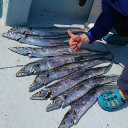 ＫＯＮＡＹＡｰＭＡＲＵ（こなや丸） 釣果