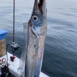 夢丸 釣果