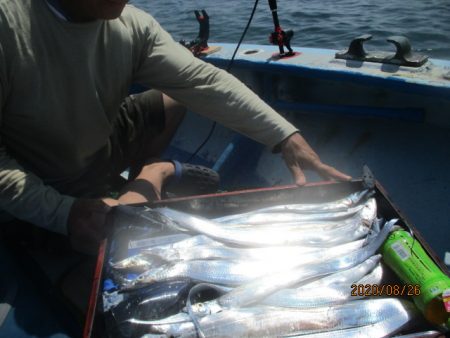 まとばや 釣果