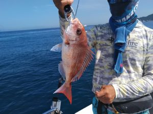 白墨丸 釣果