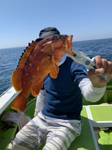 松栄丸 釣果