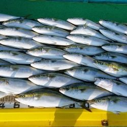 火遠理丸（ほおりまる） 釣果