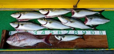 火遠理丸（ほおりまる） 釣果