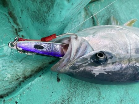 広進丸 釣果