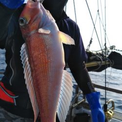 遊漁船 新鋭丸 釣果