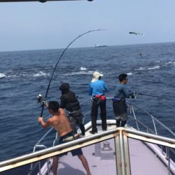 まると屋 釣果