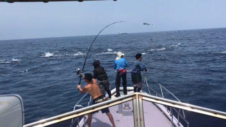 まると屋 釣果