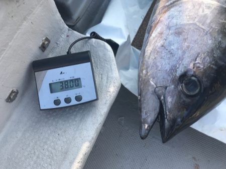 まると屋 釣果