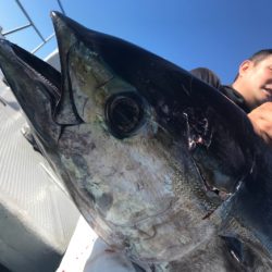 まると屋 釣果