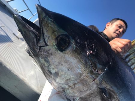 まると屋 釣果