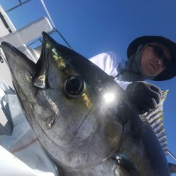 まると屋 釣果