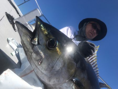 まると屋 釣果