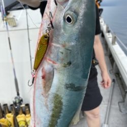 シーモンキー 釣果