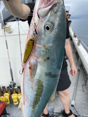 シーモンキー 釣果