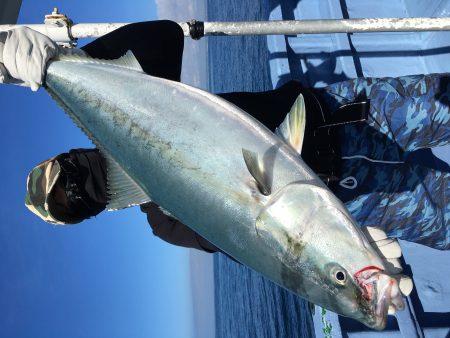 松鶴丸 釣果