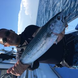 松鶴丸 釣果