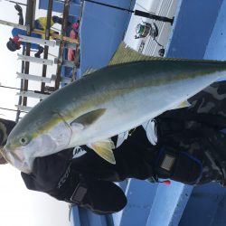 松鶴丸 釣果