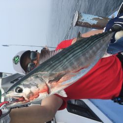 松鶴丸 釣果