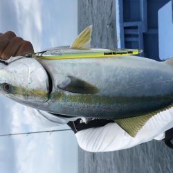 松鶴丸 釣果