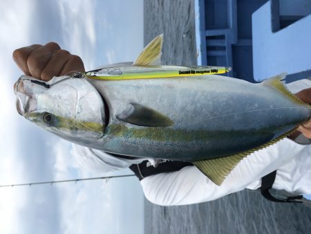 松鶴丸 釣果