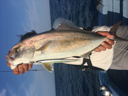 松鶴丸 釣果