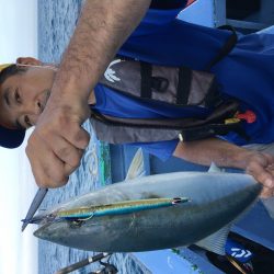 松鶴丸 釣果