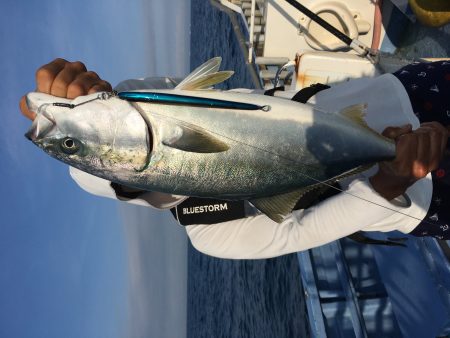 松鶴丸 釣果