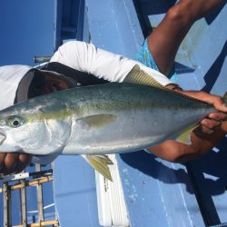 松鶴丸 釣果