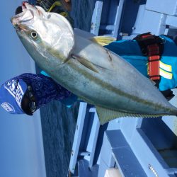 松鶴丸 釣果