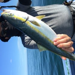 松鶴丸 釣果