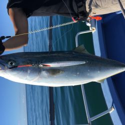 松鶴丸 釣果