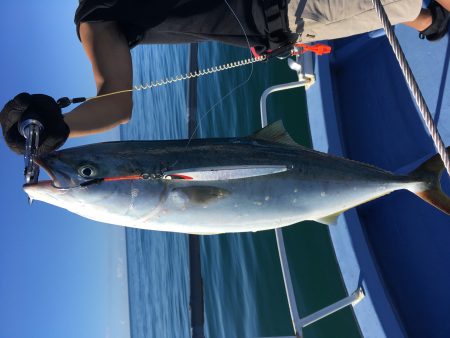 松鶴丸 釣果